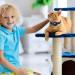2 Pack Reflective Airtag Cat Neck Bands with Safety Buckle - Integrated Neck Tapes for Kittens & Puppies - Buy Online on GoSupps.com