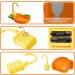 Automatic Bird Bathtub with Faucet - Ideal for Parakeets, Cockatiels, Conures, and Small Birds | SGQCAR New Orange - Buy Online on GoSupps.com