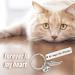 TIESOME Cat Memorial Gift Keychain Loss of Pet Key Chain Pet Loss Sympathy Gifts My Angel Has Whiskers Jewelry Gift Loss of Cat Gift for Cat Pet Lover Women Men - Buy Online on GoSupps.com