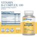 Solaray B-Complex 100 with Aloe Vera - 100 VegCaps for Energy & Wellness - Buy Online on GoSupps.com