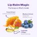 FRUDIA Honey Lip Balm Blueberry - Organic Lip Exfoliator, Moisturizer & Volumizer with Jeju Blueberry and Honey Extracts | For Dry & Chapped Lips (10 ml) - Buy Online on GoSupps.com