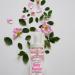 Infinix Fine Fragrance Mist Set - Baby Fresh Powder & Black Coconut - 2 fl oz/60ml (Pack of 2) - Long-Lasting Body Spray for Daily Use - Gentle Perfume for Men & Women Elegant and Affordable Fragrance - Buy Online on GoSupps.com
