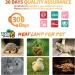 Lucky Herp 100W Ceramic Heat Emitter 2-Pack for Reptiles, Chickens, Dogs, Cats - Reptile Heat Bulbs Lamp - 100 Watts - Buy Online on GoSupps.com