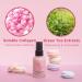 Touch in Sol No Poreblem Primer 1.01 fl oz - Pore Minimizing Makeup Primer - Buy Online on GoSupps.com