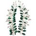 Betiteto 2Pcs Green Rhinestone Wedding Hair Clip Combs Bridal Hair Vine Accessories - Buy Online on GoSupps.com