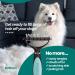 RUBOLD Dematting Tool for Dogs - Pet Safe Comb for Matted Hair - Undercoat Grooming Rake for Medium to Long Hair Pets - Buy Online on GoSupps.com