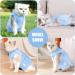 Lianzimau Katzenbody: Medical Cat Suit for Post-Operation Recovery | Anti-Losing Light Blue Clothing for Cats - Buy Online on GoSupps.com