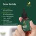 Vitaciv Chlorophyll Drops - High Dose Liquid Chlorophyll with Alfalfa & Folic Acid | 200mg Daily Dose | Vitamin B9 for Energy - 50ml 1000 Drops - Buy Online on GoSupps.com