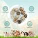 9PCs Kaub lle f r Kleintiere | Kieletzeiten Hasen Spielzeug Rattan & Weidenb lle - Zahnspielzeuge f r Kaninchen & Hamster - Buy Online on GoSupps.com
