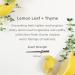 Enviroscent Non-Toxic Air Freshener Refills (Lemon Leaf + Thyme) Pack of 2 - Infused with Essential Oils - Plug-in Plug Hub - 2 Count - Buy Online on GoSupps.com