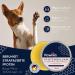 Pawlies Paw Care for Dogs & Cats - Cracked Paw Balm Winter Protection & Healing Cream (50ml) - Buy Online on GoSupps.com