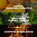 Freedom Eau de Parfum EDP Natural Spray for Men and Women- Unisex Fragrances Made in USA Veteran Owned Cruelty Free - Sweet-Citrus - Notes of Orange Pineapple Tonka Bean Campfire (100 ml) - Buy Online on GoSupps.com