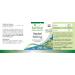 Fairvital | Fennel 500mg - High dosed - 90 capsules - - Buy Online on GoSupps.com