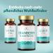 SOLVISAN Cranberry D-Mannose - Unique Echinacea & Vitamin C+D Formula - 60 Capsules for Urinary Health | International Shipping Available - Buy Online on GoSupps.com