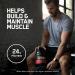 Optimum Nutrition Gold Standard 100% Whey Protein Powder French Vanilla Creme 2.27 Kg Medium - Buy Online on GoSupps.com