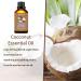Buy Yethious Coconut Fragrance Oil 100ML - Ideal for Diffusers Candle Making Soap & Home Aromatherapy - Scented Coconut Oil for Car Freshies & Soy Candles - Perfect for Festivals & Vacations - Buy Online on GoSupps.com