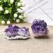 1PC Natural Amethyst Cluster Quartz CrystalStones Reiki Stones Crystal Point Specimen Home Decoration Raw Crystals for Crystal Cluster (Color : Amethyst Size : 4PCS) 4PCS Amethyst - Buy Online on GoSupps.com
