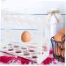 Hohopeti Egg Storage Rack Egg Holder for Fridge Eggs Egg Storage Stand Egg Rack for Fridge Door Dedicated Box White 25.00X20.00X11.00CM - Buy Online on GoSupps.com