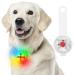 FTTouuy safety LED flashing light for dogs cats - USB rechargeable LED light fluorescent trailer dog waterproof safety pet lighter (colorful)