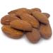 Yupik Roasted Salted Jumbo Almonds 1 kg Kosher Gluten-Free Large Almonds Seasoned Nuts Lightly Roasted Salty Flavor Source of Fiber & Protein Crunchy Savory Snacks - Buy Online on GoSupps.com