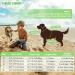 Emust Dog Vest - High Buoyancy Swimming & Boating Chest Vest for Small to Medium Breeds Ripstop Material Green (M) - Buy Online on GoSupps.com