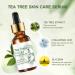 Tea Tree Face Serum - Tea Tree Oil Hyaluronic Acid Serum Dark Spot Correcting Glow Serum Korean Serum Tea Tree Cream Skin Brightening Hydrating Serum For All Skin Types 30ml - Buy Online on GoSupps.com