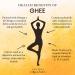 Ancient Organics Ghee - Organic Grass Fed Clarified Butter, Gluten Free & Lactose Reduced, 16 Fl Oz, USDA Certified - Buy Online on GoSupps.com