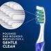 Oral B Pulsar Pro-Health Battery Powered Toothbrush Soft 2 Count (Color May Vary) - Buy Online on GoSupps.com