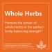 NOW Liver Refresh - 180 Veg Capsules with Milk Thistle Extract & Herb-Enzyme Blend - Buy Online on GoSupps.com