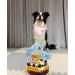 Dog Birthday Bandana for Large Pet - Pink Birthday Girl Design - 1 Pack - Buy Online on GoSupps.com