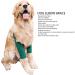 Adjustable Breathable Dog Elbow Brace Effective Recovery Pet Elbow for Small Medium Large Dogs with Leg Wounds (XL) - Buy Online on GoSupps.com
