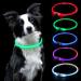 Auauy light neck band dog LED dog collar usb rechargeable length-adjustable pet safety collar crackbare waterproof luminous band for dogs and cats (5 color gradients) 5 color gradient universal