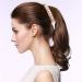 4PCS Banana Clip Claw Ponytail Holder - Rhinestone Shell Hair Clips for Stylish Hair Grips - Buy Online on GoSupps.com