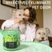 TRINIDa Lemon & Tea Tree Scented Odor Eliminating Candles Gift Set - Premium Natural Soy Candles for Women | Eliminates 99% of Pet, Smoke, & Other Odors Quickly - Buy Online on GoSupps.com