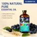 Geranium Essential Oil 4 Fl Oz and Blueberry Essential Oil 4 Fl Oz - ZODION Geranium & Blueberry Oil for Diffuser Aromatherapy Home Fragrance Skin & Hair Care DIY Candle & Soap Making Yoga - Buy Online on GoSupps.com