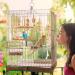 Vegena 7-Piece Wooden Bird Toy Set - Colorful Ladders with Landing Sites for Budgies Parrots and Cockatoos - Ideal Bird Cage Accessories - Buy Online on GoSupps.com