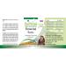 Fairvital Floravital Basic - 6 Bacterial Cultures & Inulin Lactobacillus & Bifidobacteria | 90 Capsules - Best for Gut Health Worldwide - Buy Online on GoSupps.com