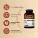 NatureBell Quercetin 500mg | 300 Capsules - Immune Support Supplement - Bioflavonoids for Healthy Immune System - Non-GMO & Gluten Free - Buy Online on GoSupps.com