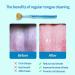Xrmai 4PCS Stainless Steel Tongue Scraper Set - Tongue Cleaners (4 PCS) - Buy Online on GoSupps.com