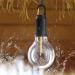 Survival Tools & Gadgets 2023 | Retro Light Bulb Camping Equipment for Youth | International Shipping - Buy Online on GoSupps.com