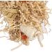 HappyBird Orange Shred-Tuft Toy | Best Shredder Toy for Parakeets & Small Parrots - Eco-Friendly Nibble Delight - Buy Online on GoSupps.com