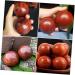 Frcolor 4-Piece Solid Wood Massage Ball Set - Leg & Foot Massage Device for Muscle Relief & Fasciitis Mahogany Fitness Balls - Buy Online on GoSupps.com