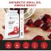 Shakra Health Antarctic Krill Oil Omega Boost | Premium Omega-3 Nutritional Supplements for Wellness & Spirituality - Buy Online on GoSupps.com