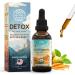 HerbEra South Dakota Herbal Detox Blend - USDA Organic Extract Made in USA | Immune & Liver Support Liquid Drops | Dandelion Root Milk Thistle Noni Chaparral Cordyceps | 2 fl oz