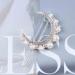 Allereya Crystal Pearl Moon Hair Clip Barrette Rhinestone Pearl Hairpin Barrette Silver CZ Crescent Moon Head Clip Headpieces Meniscus Pearl Hair Accessories for Women Girls (Silver) - Buy Online on GoSupps.com