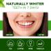 Ayurvedic Remineralizing Toothpowder for Sensitive Teeth | Refreshing Cool Mint Flavor for Teeth Whitening & Fresh Breath | Organic Cavity Reversal | Natural Tooth Powder for Gums & Bad Breath-1.3 Oz - Buy Online on GoSupps.com