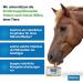 imima Mineral Lick Horse VITAMIN PLUS Selenium Salt Lick Set 4 x 3 kg - Salt Lick Stones for Horses Sheep Goats Game and Cattle - Mineral Stone for Licking Salt - Buy Online on GoSupps.com