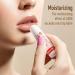AZEN 12 Pack Natural Lip Balm - Bulk Moisturizing Care for Dry Cracked Lips - Buy Online on GoSupps.com