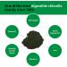 Sun Chlorella Powder - Green Algae Superfood for Immunity, Gut Health & Energy | Non-GMO | 30 Packets - Buy Online on GoSupps.com