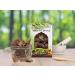 AOZA Birju Mahavir Arjun ki Chaal - Terminalia Arjuna 1 Kg - Buy Online on GoSupps.com